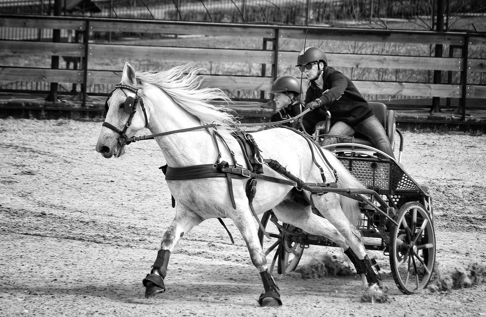 Фотография автора Елена Кириллова