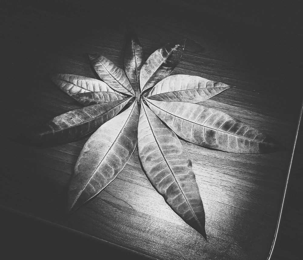 Photograph by Екатерина Дьяченко