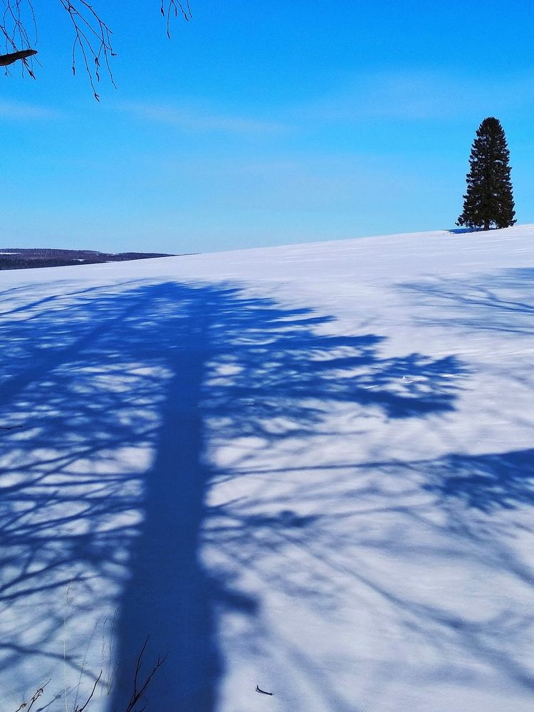 Photograph by Александр Кокурин