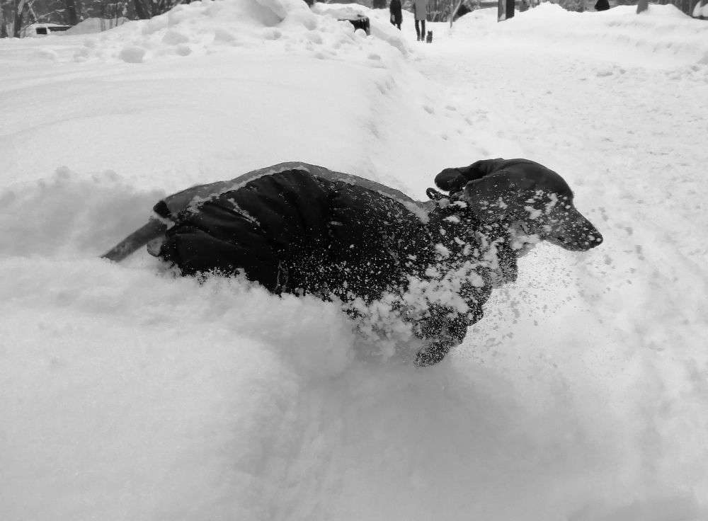 Photograph by Светлана Веселовская