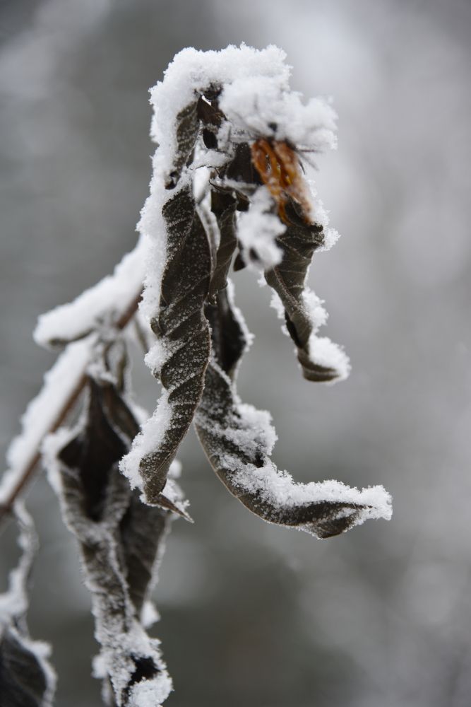 Photograph by Ольга Струкалина