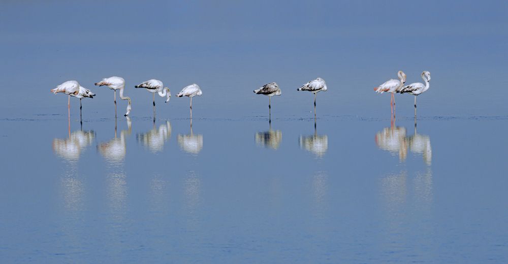 Photograph by Stamen Sotirov