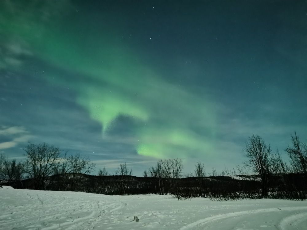 Photograph by Елена