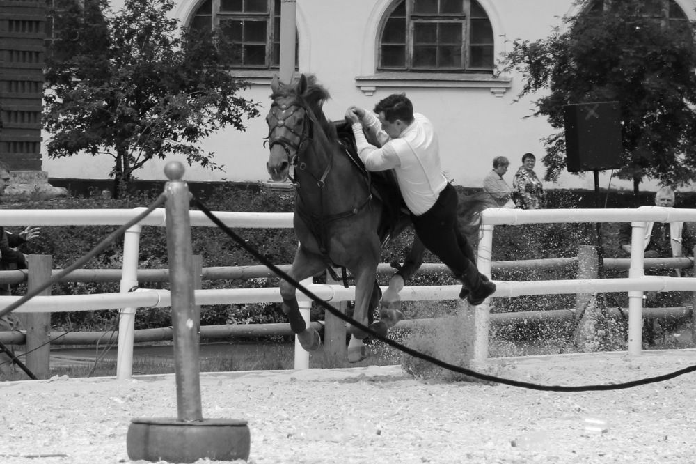 Photograph by Оксана Сизых