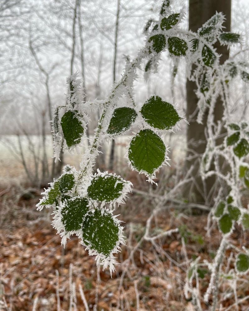 Photograph by Марина Дикманн
