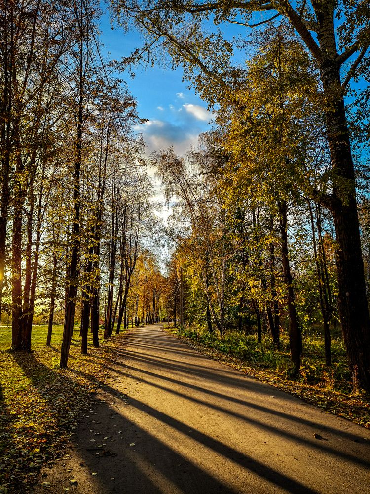 Осенний свет.