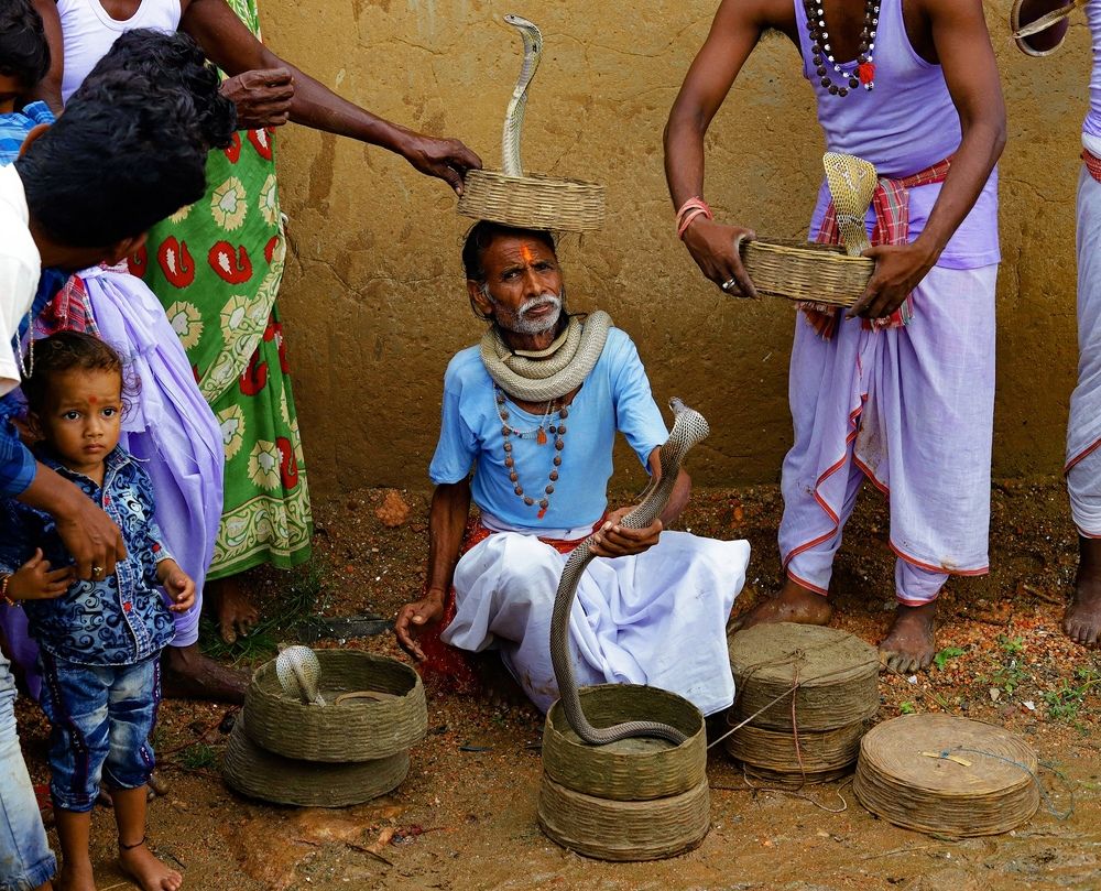 SNAKE CHARMING