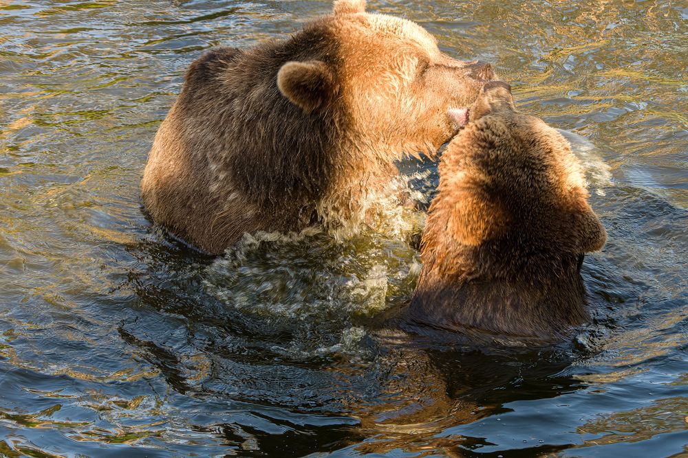 Фотография автора Julia A Caesar