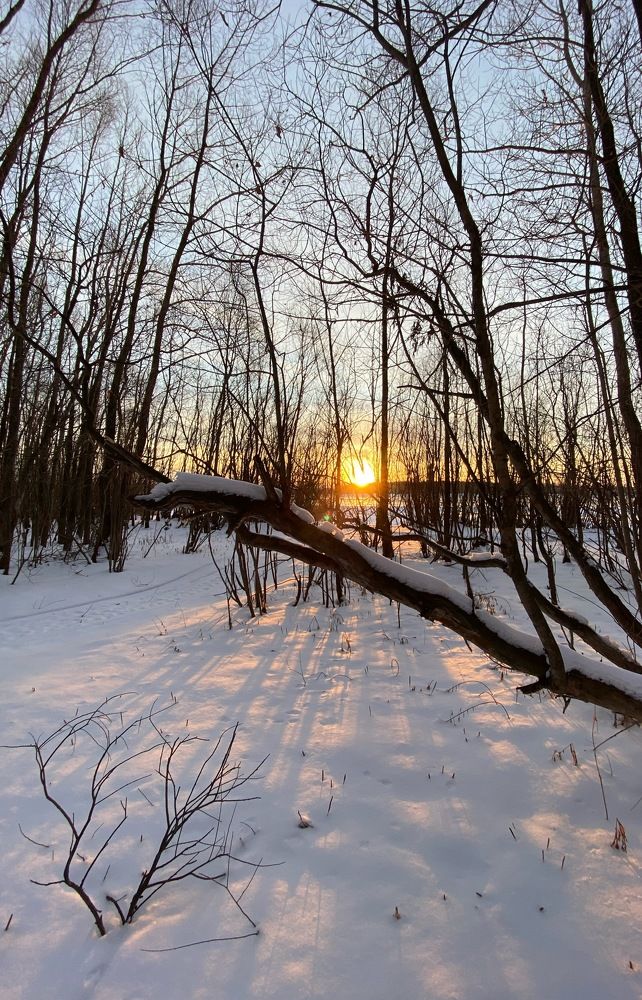 Photograph by Алиса Лукина