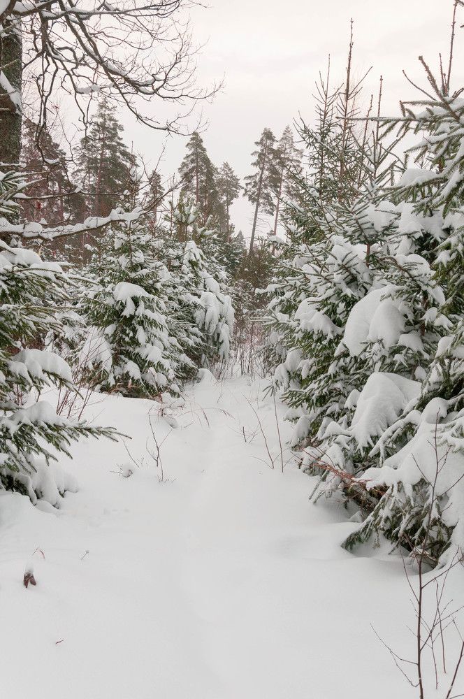 Фотография автора Виталий Дузь