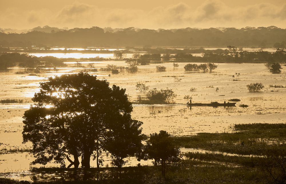 Пробуждение