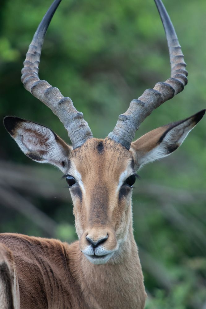 Photograph by Михаил Анастасьев