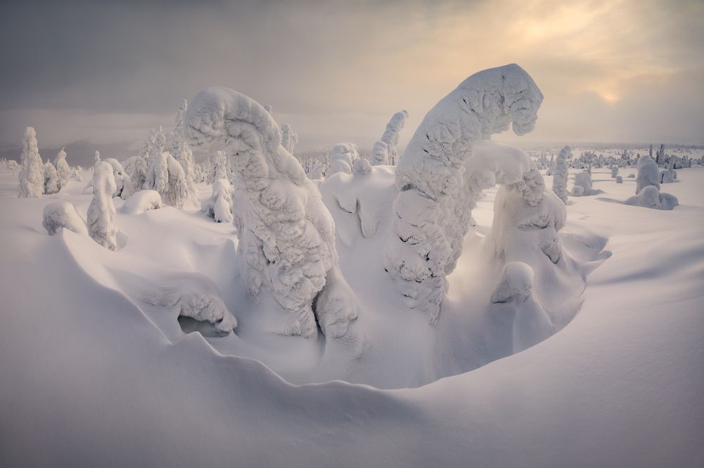 Photograph by Василий Яковлев