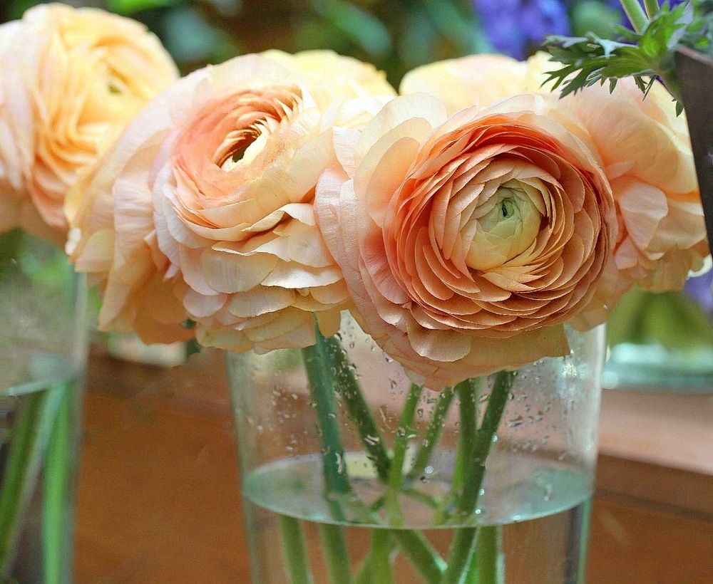 Photograph by Наталья Задерновская