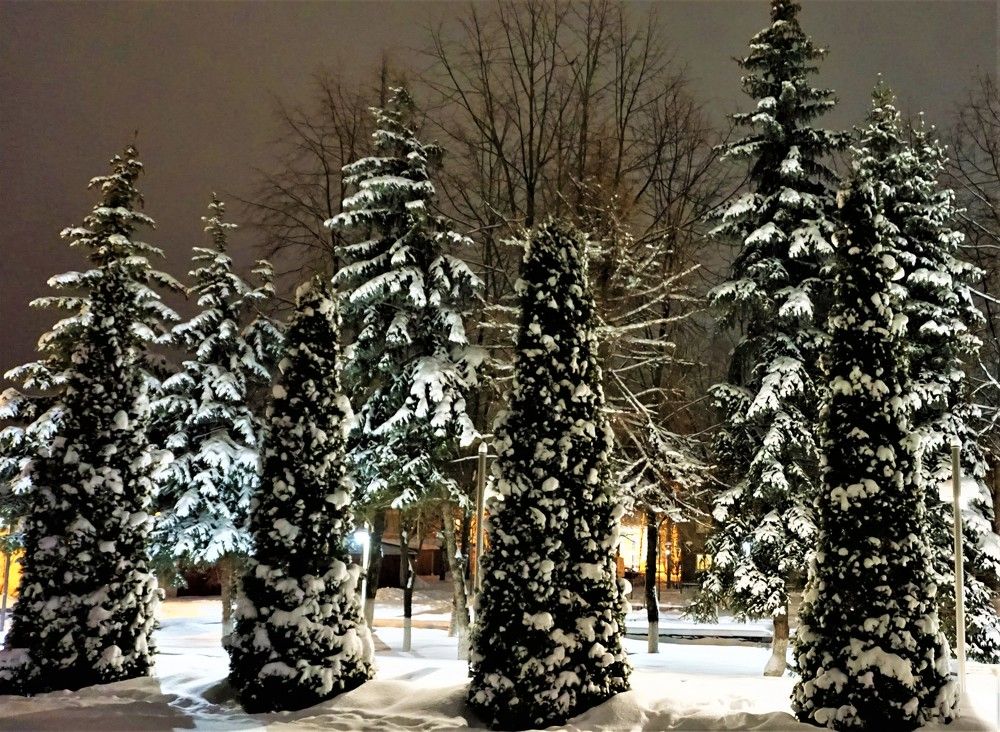 Photograph by Михаил Трусов