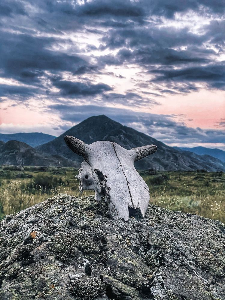 Photograph by Анастасия Каланакова