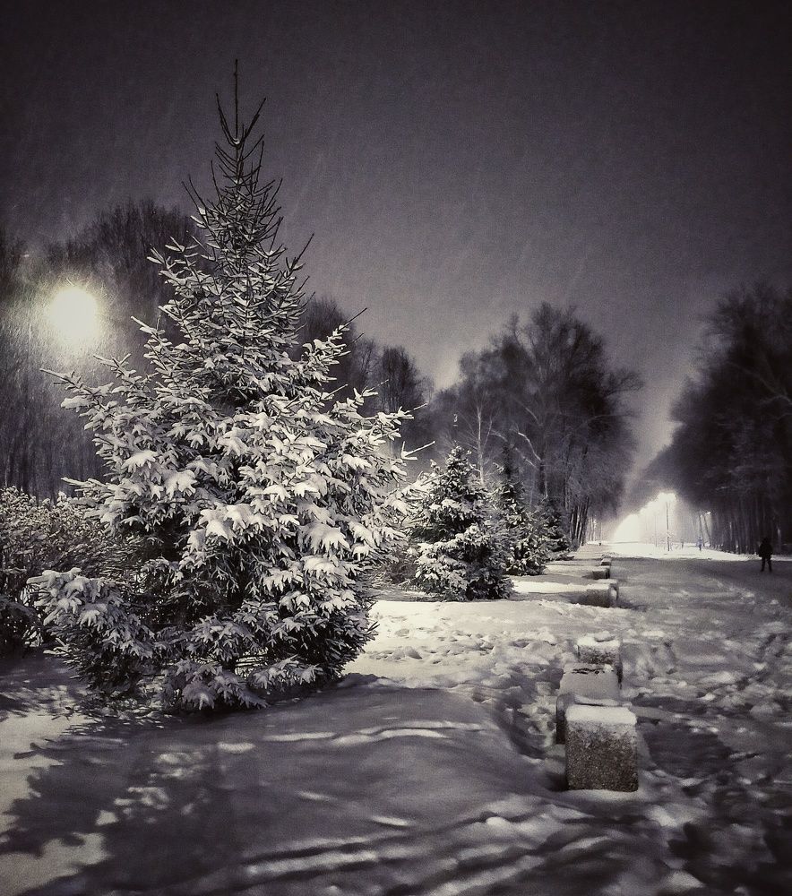 Photograph by Ольга Мартьянова