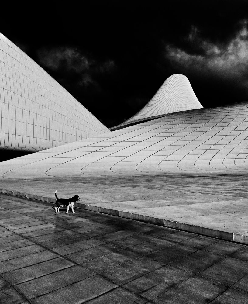 Photograph by Jamila Karimova