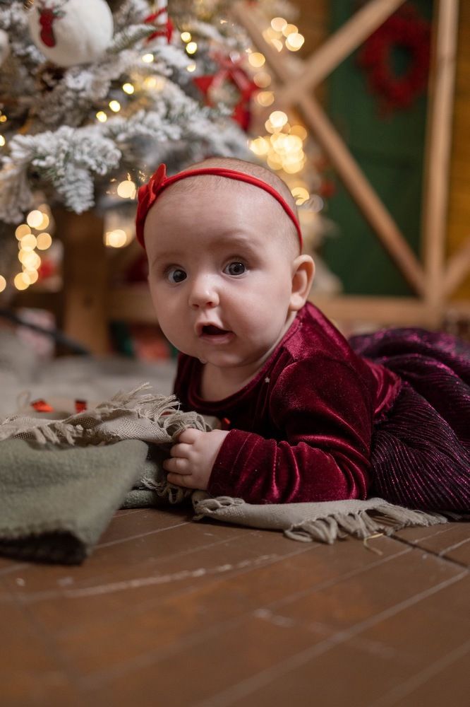 Фотография автора Анна Хейфиц