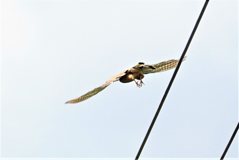 Photograph by Михаил Трусов