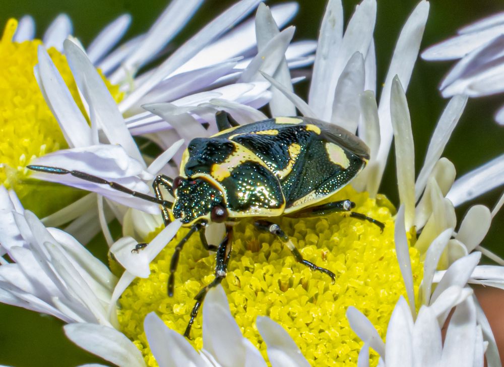 Photograph by Сергей Савчук