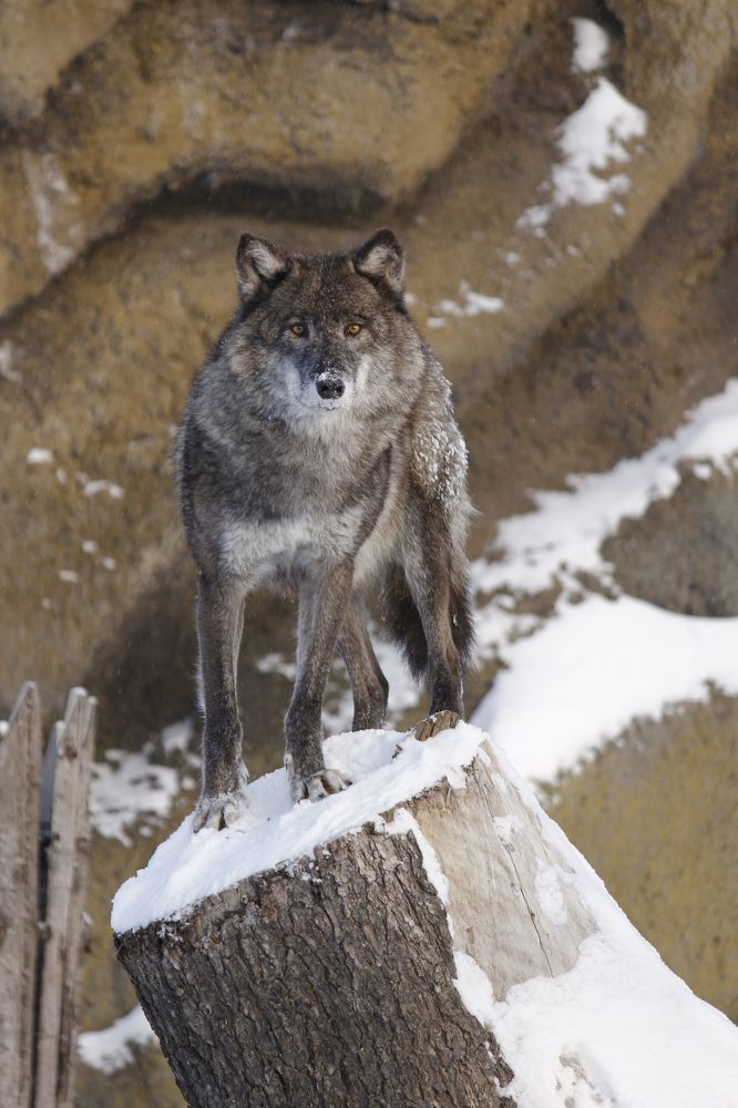 Photograph by Никита Коробейников