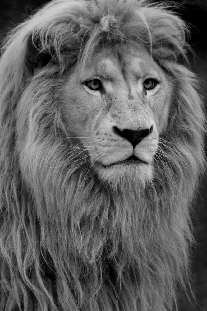 Photograph by Никита Коробейников