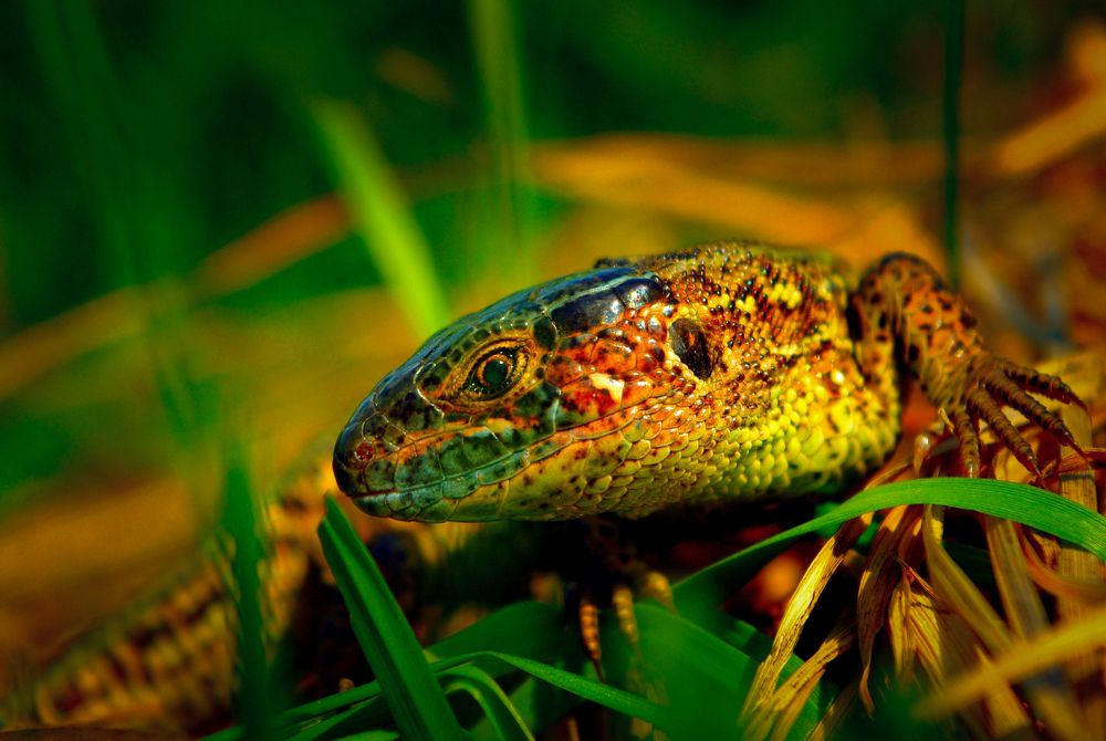 Photograph by Андрей Черкунов