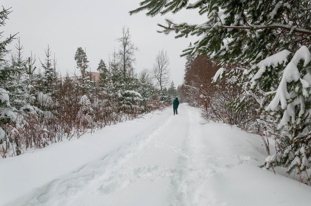 Фотография автора Виталий Дузь