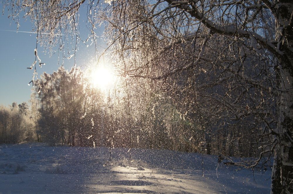 Photograph by Полина Александровна