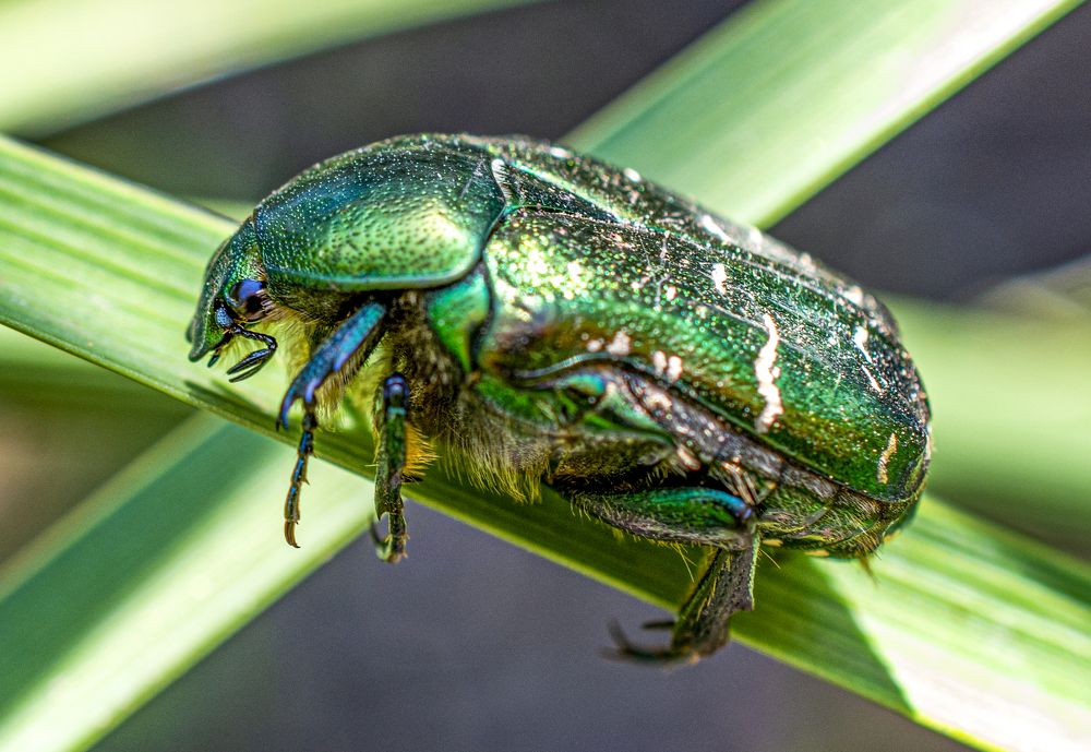 Photograph by Сергей Савчук