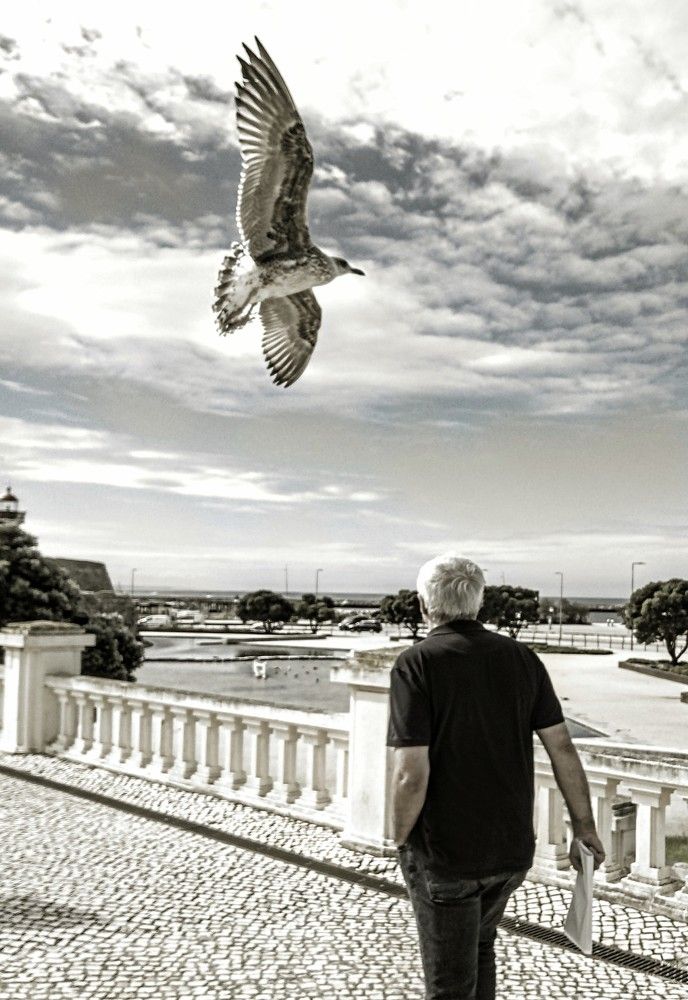 Человек и мир вокруг