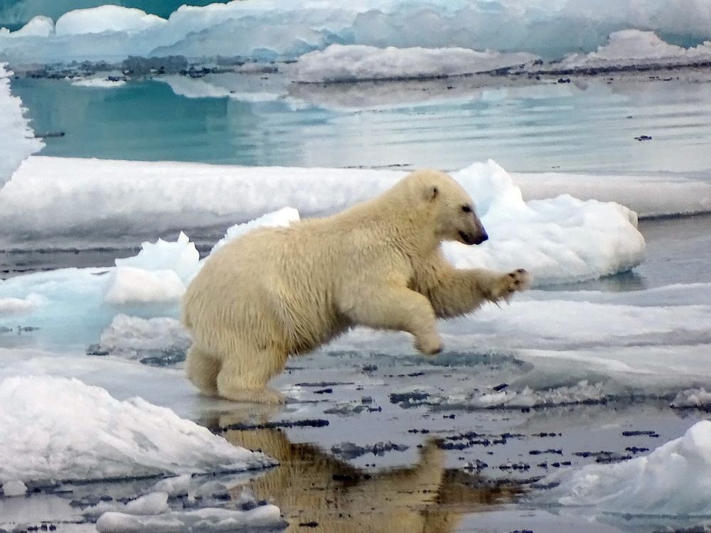 Photograph by Ivan Karavka