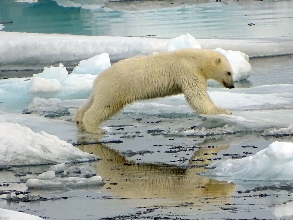 Photograph by Ivan Karavka