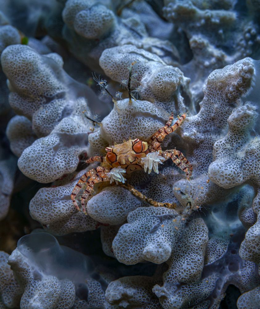 Photograph by Савин Андрей