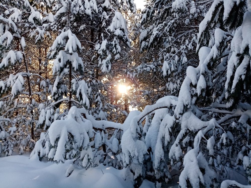 Photograph by Михаил Царикевич