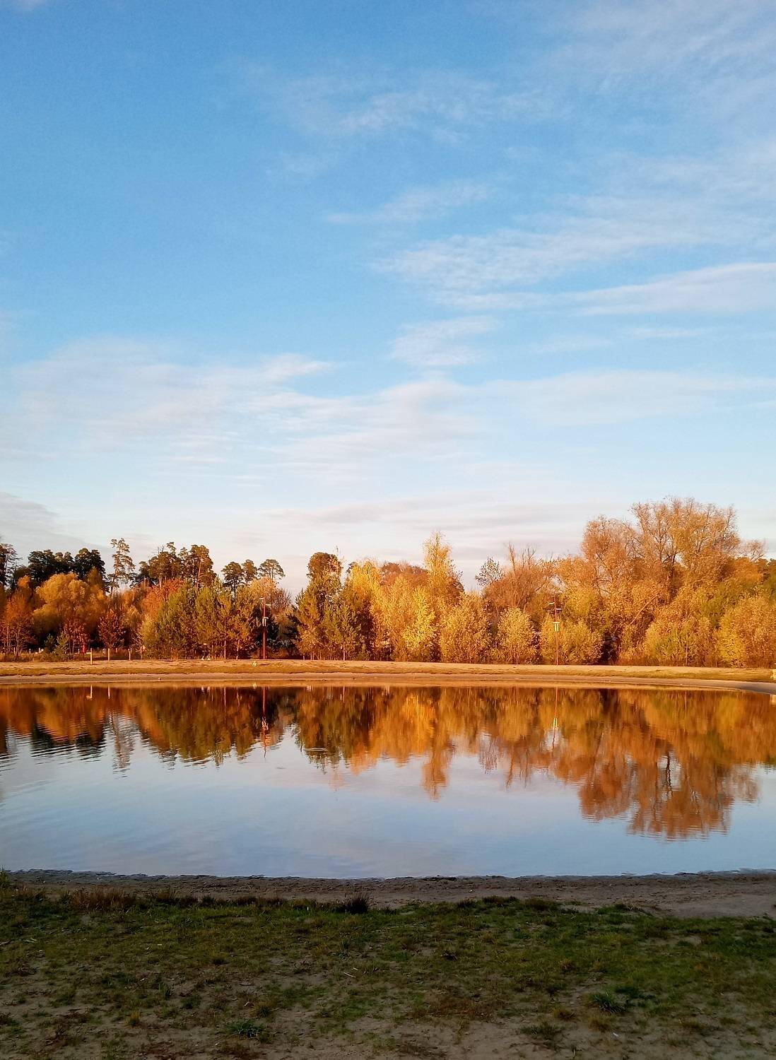 Photo #8524313