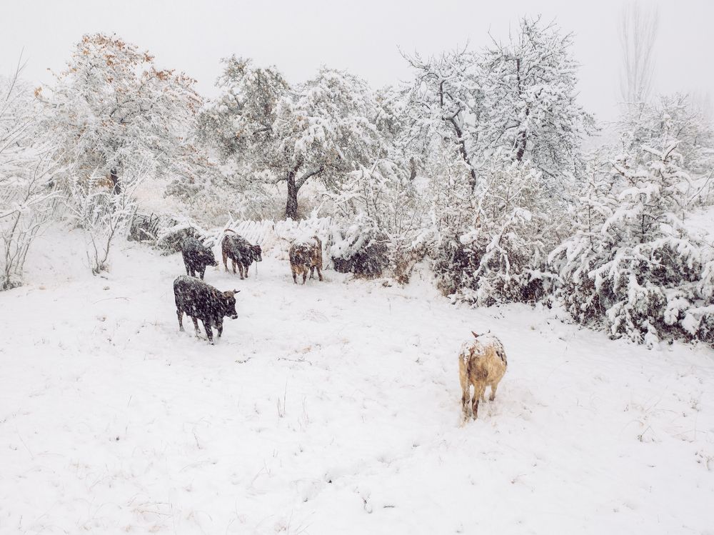 Photograph by Илья