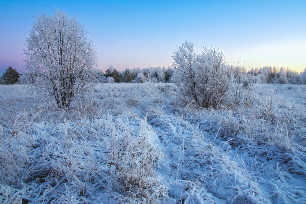 Заснеженная природа...