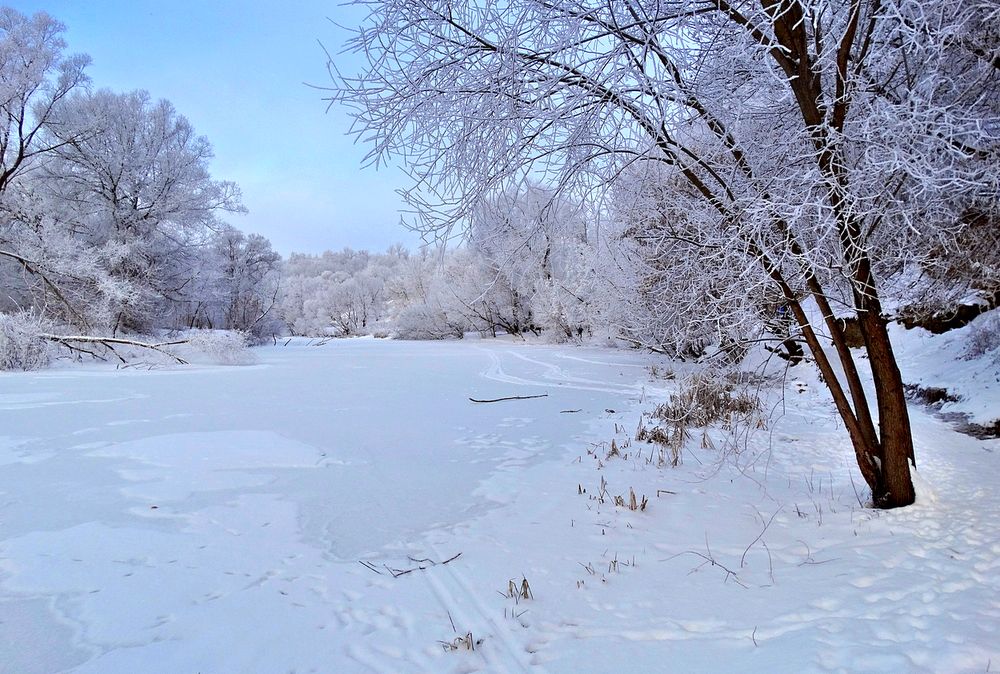 Вся природа под снегом