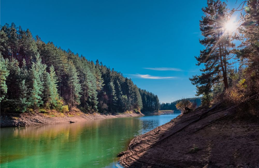 Photograph by Venelin Lyubomirov Dimitrov