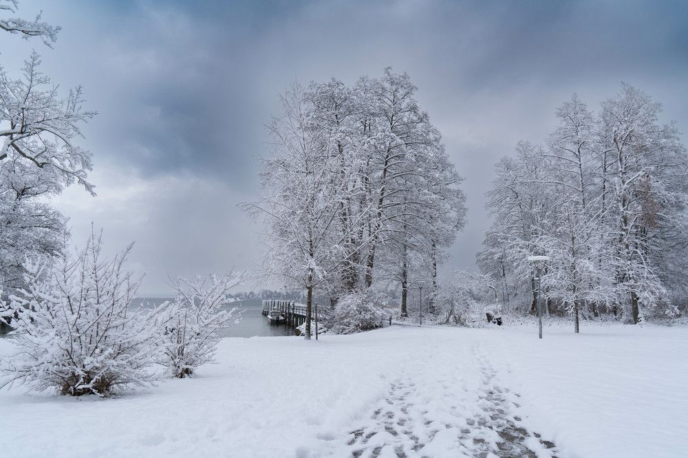 Photograph by Volkova Nataliia