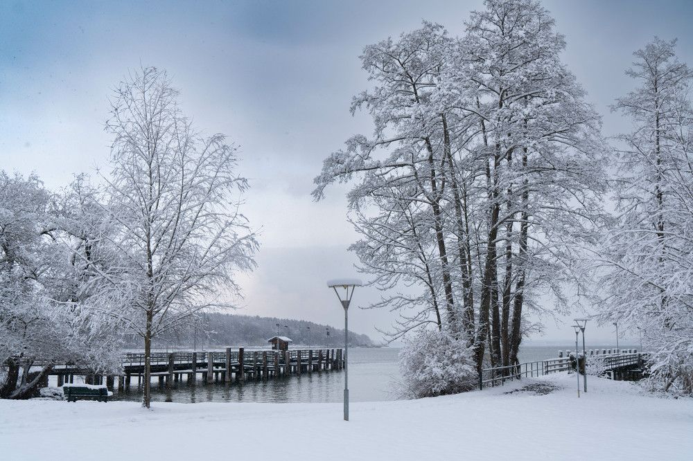 Photograph by Volkova Nataliia