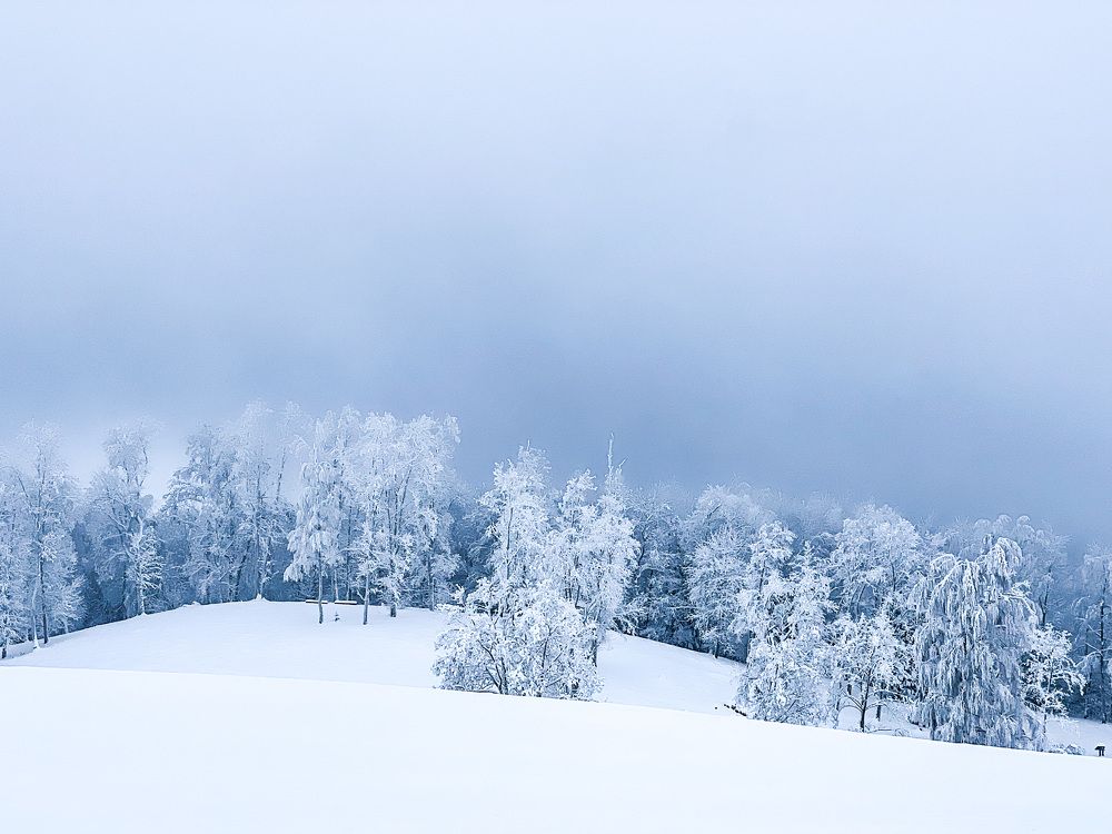 Photograph by Žaneta Bytautiene