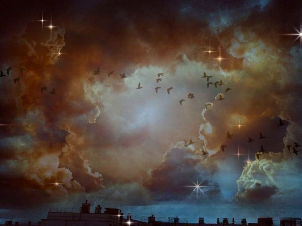 Photograph by Svetlana Victorovna Kibyakova