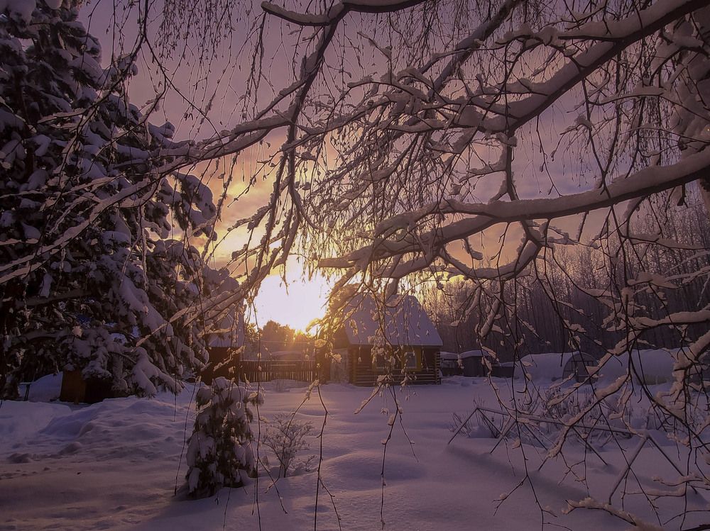 Photograph by Оксана Радзиевская