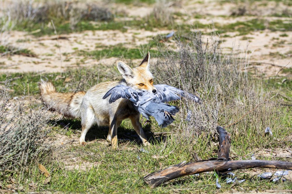 Photograph by seyedmohamad tabrizi