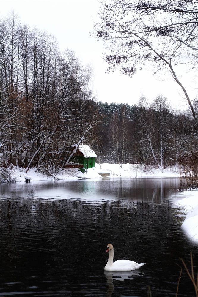 Photograph by Евгений Белов