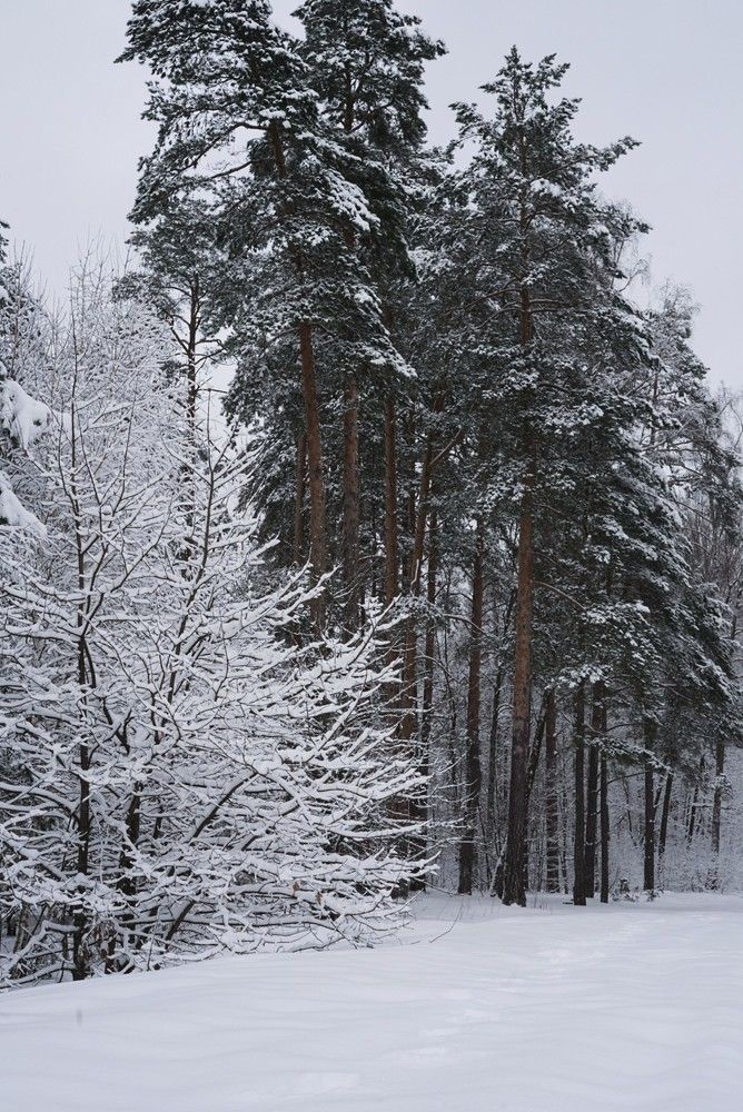 Фотография автора Наталья