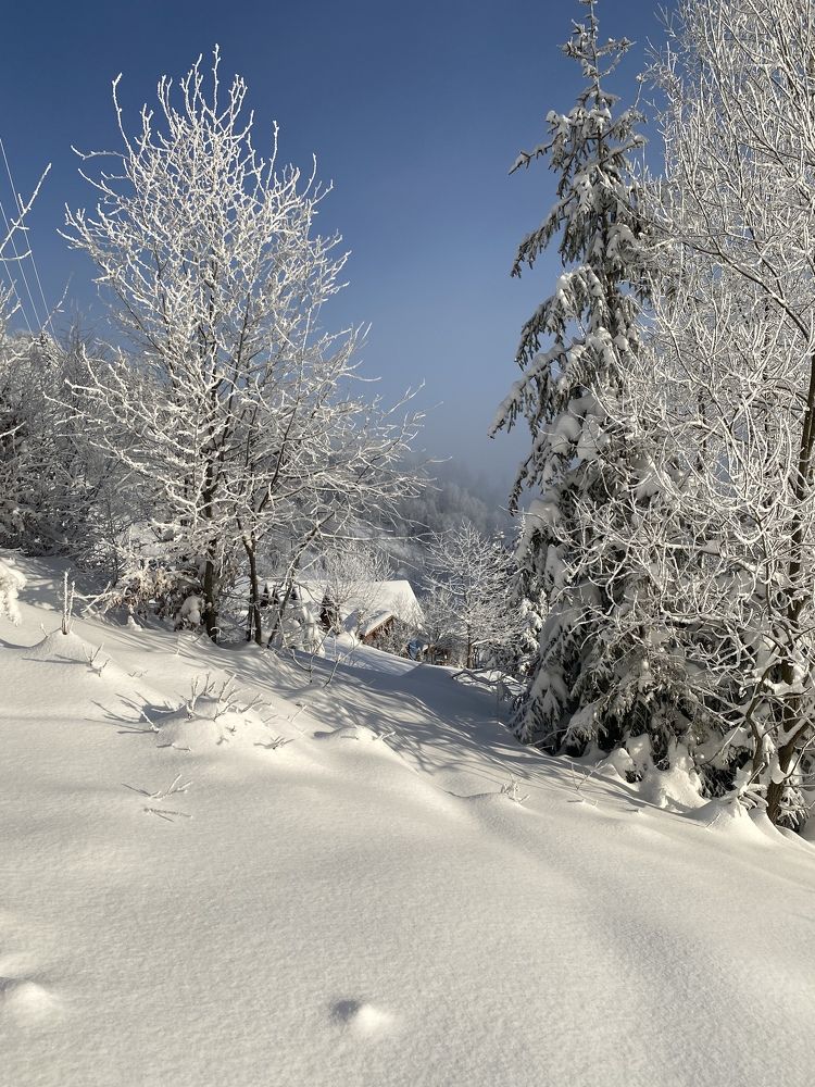 Photograph by Оксана Сидоренко